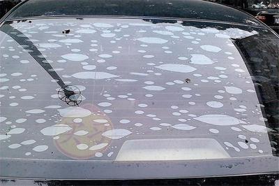 后挡风玻璃真的不能贴膜？很多人都理解错了，电热丝不该背锅！